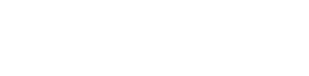 Root Systems. Agencia web Murcia